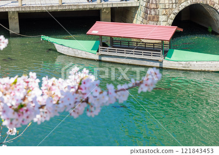 Cherry blossoms in full bloom in Ogaki City: Spring scenery [Gifu Prefecture] 121843453