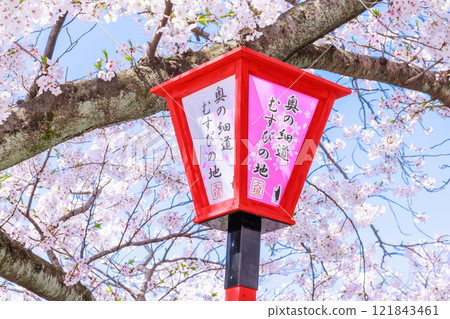 大垣市櫻花盛開：春天的景色【岐阜縣】 121843461