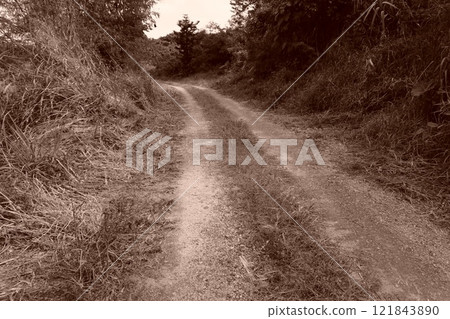 發情期 發情期 121843890