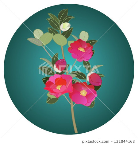 圓形背景的山茶花插圖 圓形背景的山茶花插圖 121844168