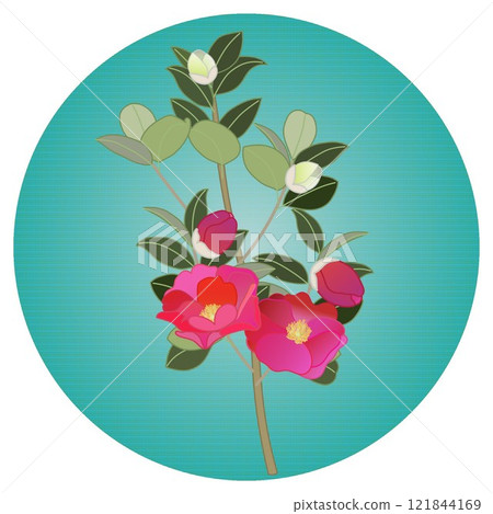 圓形背景的山茶花插圖 圓形背景的山茶花插圖 121844169