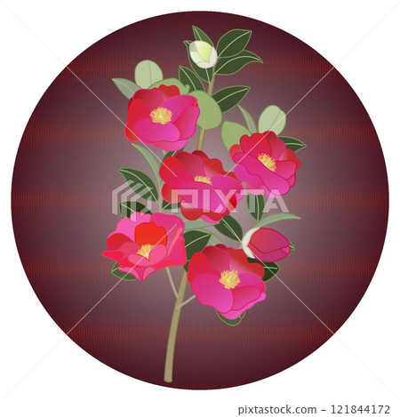 圓形背景的山茶花插圖 圓形背景的山茶花插圖 121844172