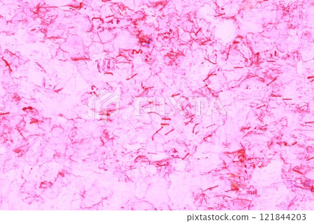 Torn paper on bulletin board as grunge texture and background, 121844203