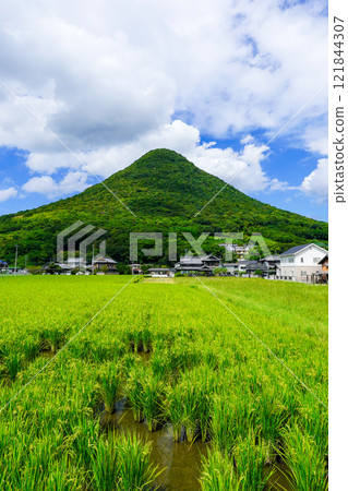Mount Iino, also known as Sanuki Fuji, stands out against the blue sky (Marugame City and Sakaide City, Kagawa Prefecture) 121844307