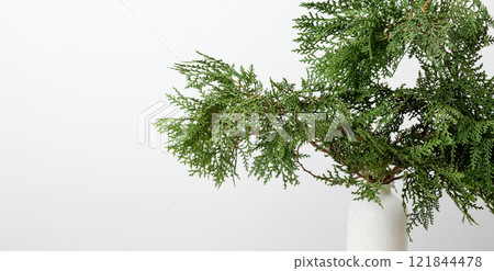 Natural, minimalist home decor style, vase with thuja branches arranged 121844478