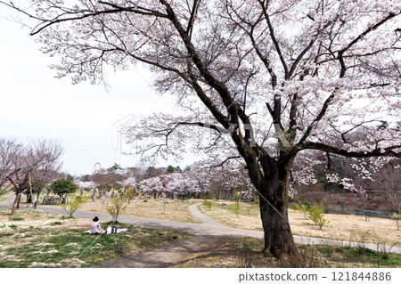 Miyako Sayama Park 121844886