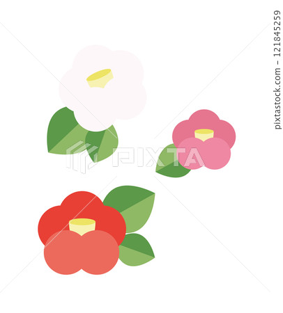 三色山茶花簡單圖解 三色山茶花簡單圖解 121845259