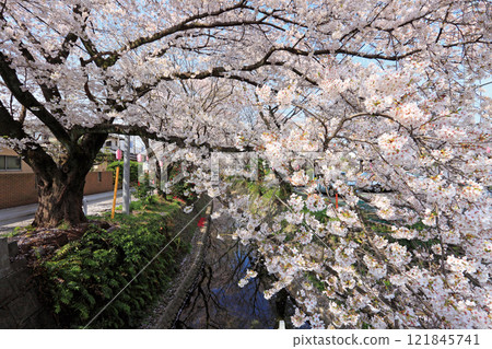 Tokorozawa Higashikawa Tokorozawa Higashikawa 121845741