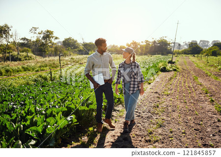 Agriculture, farming and diverse farmers walking and talking while working together on an organic and sustainable farm. Agronomist and partners in agribusiness looking happy during harvest season 121845857
