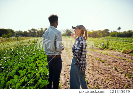 Sustainable farmers talking about organic green crops on a farm on a sunny day outdoors. Two agriculture experts collaborating and discussing the harvest of vegetable food produce on farmland 121845979