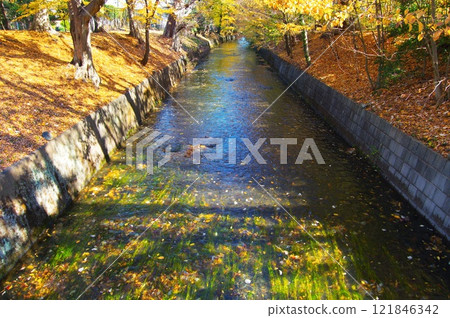 在寒冷的天空下,從昭島市三堀橋看到的玉川上水 在寒冷的天空下,從昭島市三堀橋看到的玉川上水 121846342