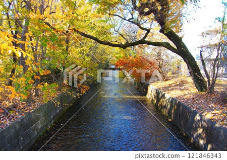 在寒冷的天空下，從昭島市三堀橋看到的玉川上水 121846343