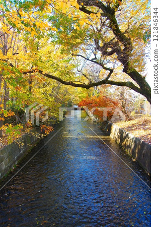 在寒冷的天空下，從昭島市三堀橋看到的玉川上水 121846344