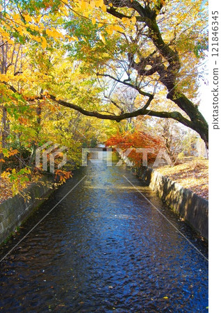 Tamagawa Aqueduct as seen from Mihori Bridge in Akishima City on a cold day 121846345