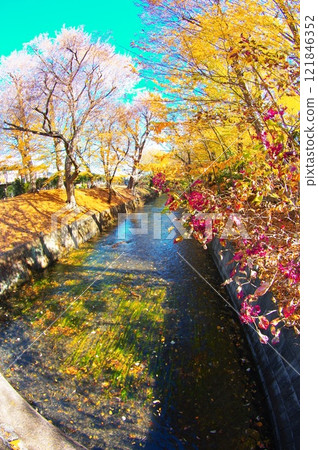 在寒冷的天空下，從昭島市三堀橋看到的玉川上水 121846352