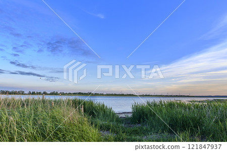 Landscape wild grass near a lake with reeds growing against a blue calm, peaceful and quiet blue horizon in nature. Secluded lagoon, river or seaside in Norway used for fishing on blue sky background Landscape wild grass near a lake with reeds growing against a blue calm, peaceful and quiet blue horizon in nature. Secluded lagoon, river or seaside in Norway used for fishing on blue sky background 121847937