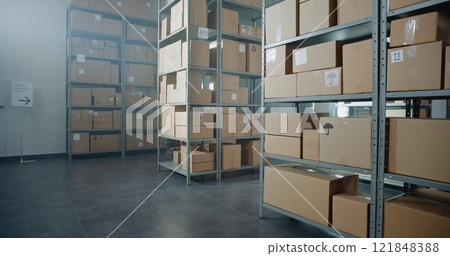 Sorting Facility, Storage of Online Store with E-Commerce Orders in Cardboard Boxes 121848388