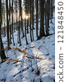 Big Fatra mountains, Slovakia, snowy landscape 121848450