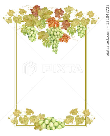 Watercolor vertical frame with grapes. Illustration of grapevine, green berries and leaves. Frame for white wine, jam, juice label. Clipart for wine, cafe, restaurant. 121848722