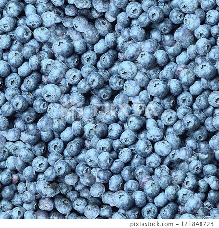Seamless pattern background with blueberries. 121848723