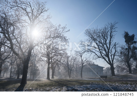 Morning in a winter park 121848745