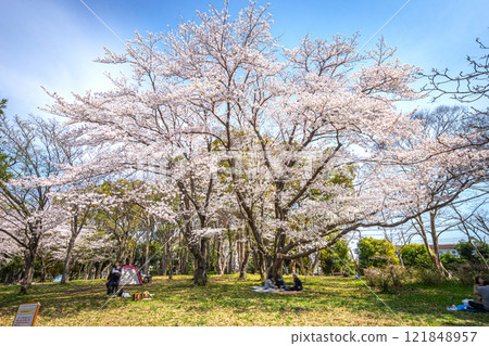 Gyoda Park, Funabashi City 121848957