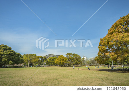 船橋市行田公園 121848960