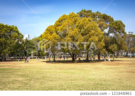 船橋市行田公園 121848961