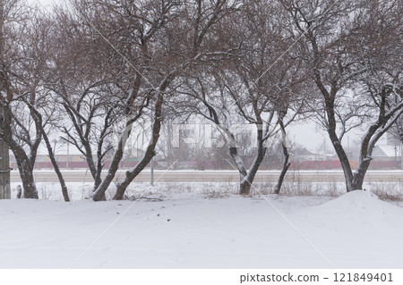 [Ukraine] Snowfall, street trees and roads in the eastern Donbas region 121849401