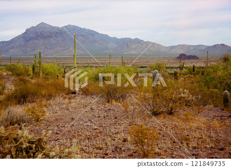 Sonora Desert Arizona Picacho Peak State Park on Film Sonora Desert Arizona Picacho Peak State Park on Film 121849735