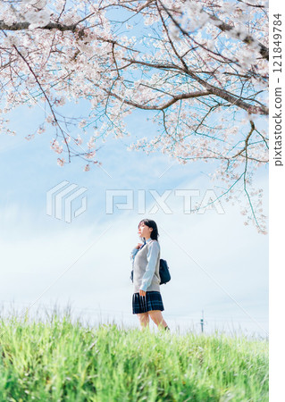 A high school girl who goes to school on a cherry blossom riverbed 121849784