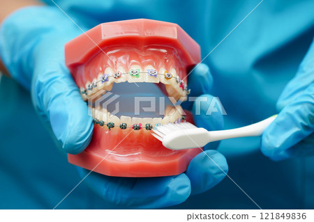 Doctor clean teeth denture with toothbrush for teach patient and dentist studying about dentistry. Doctor clean teeth denture with toothbrush for teach patient and dentist studying about dentistry. 121849836