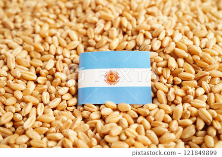 Argentina flag on grain wheat, trade export and economy concept. 121849899
