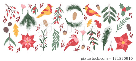 Winter watercolor flower. Decorative element bird and plant pine cone, berry. Floral Christmas, poinsettia, retro greeting. Leaves gold, garden Xmas flowers. Vector garish cartoon flat isolated set Winter watercolor flower. Decorative element bird and plant pine cone, berry. Floral Christmas, poinsettia, retro greeting. Leaves gold, garden Xmas flowers. Vector garish cartoon flat isolated set 121850910