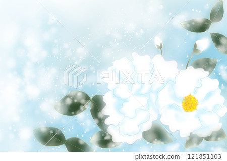 茶梅花雪卡2 121851103