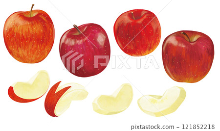 各種蘋果的集合 121852218