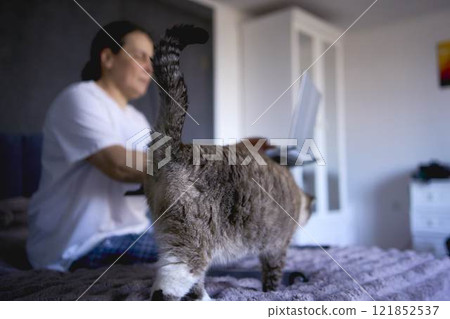 a senior woman works from home on a laptop with a pet, a cat 121852537