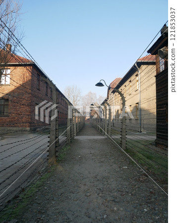 Barbed wire at Auschwitz concentration camp (Poland) Barbed wire at Auschwitz concentration camp (Poland) 121853037