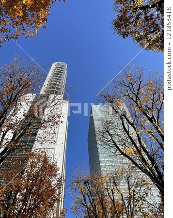 Autumn leaves and buildings 121853418