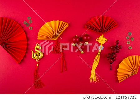 Chinese new year concept. Lunar year of snake Chinese new year concept. Lunar year of snake 121853722