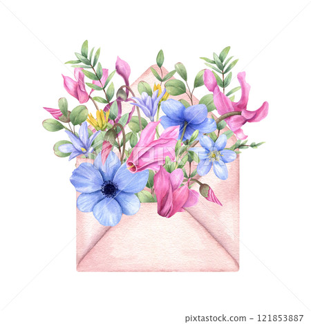 Spring flower bouquet in pink open envelope watercolor illustration. Blue anemone, pink cyclamen, yellow flowers, eucalyptus branch composition for Valentine day cards, invitation design, stationery 121853887