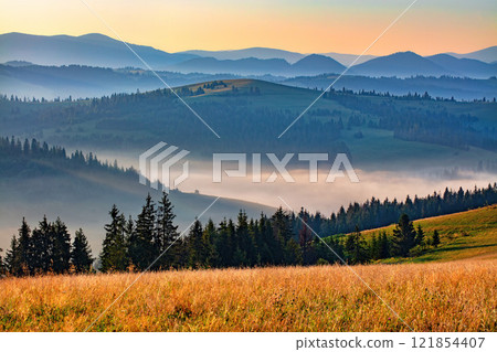Morning mist blankets rolling hills and lush forests in a serene landscape at sunrise 121854407