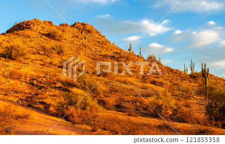 Arid Landscape of Papago Park in Phoenix, Arizona 121855358