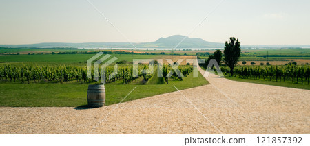 Winery with a barrel of wine on Morava, like in Tuscany 121857392