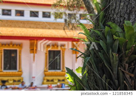 Grounds of Thai Buddhist Temple Located in Tampa Florida 121858345