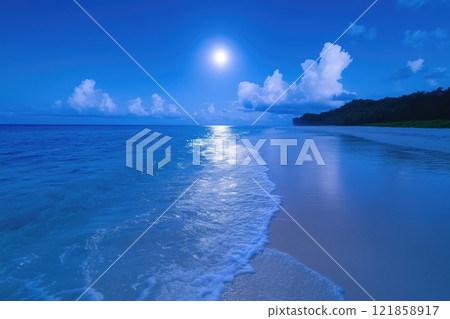 tropical beach on a clear moonlit night 121858917