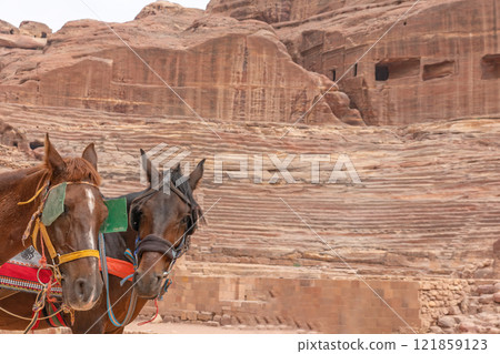 Horses for tourists in front of the Theatre at the Petra. Jordan 121859123