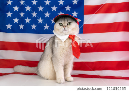 Patriotic cat with red tie and cap in front of american flag 121859265