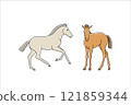 Two cute newborn foals, vector simple illustration 121859344