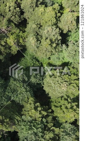 Nature Forest, Natural Environment Forest Nature Forest, Natural Environment Forest 121861024